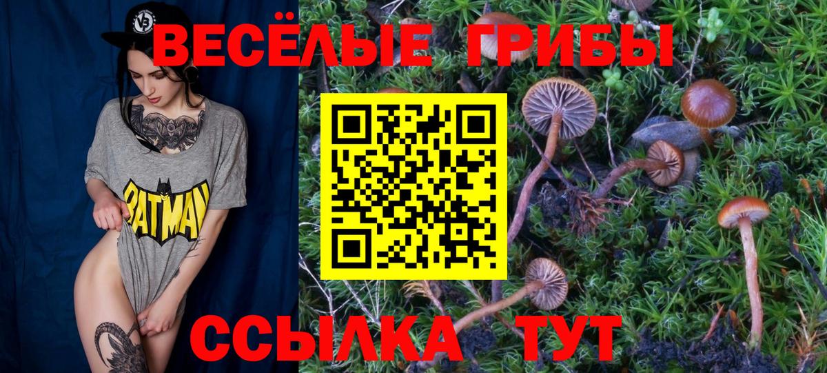 Медногорск  Галлюциногенные грибы мухоморы  Вход с VPN 